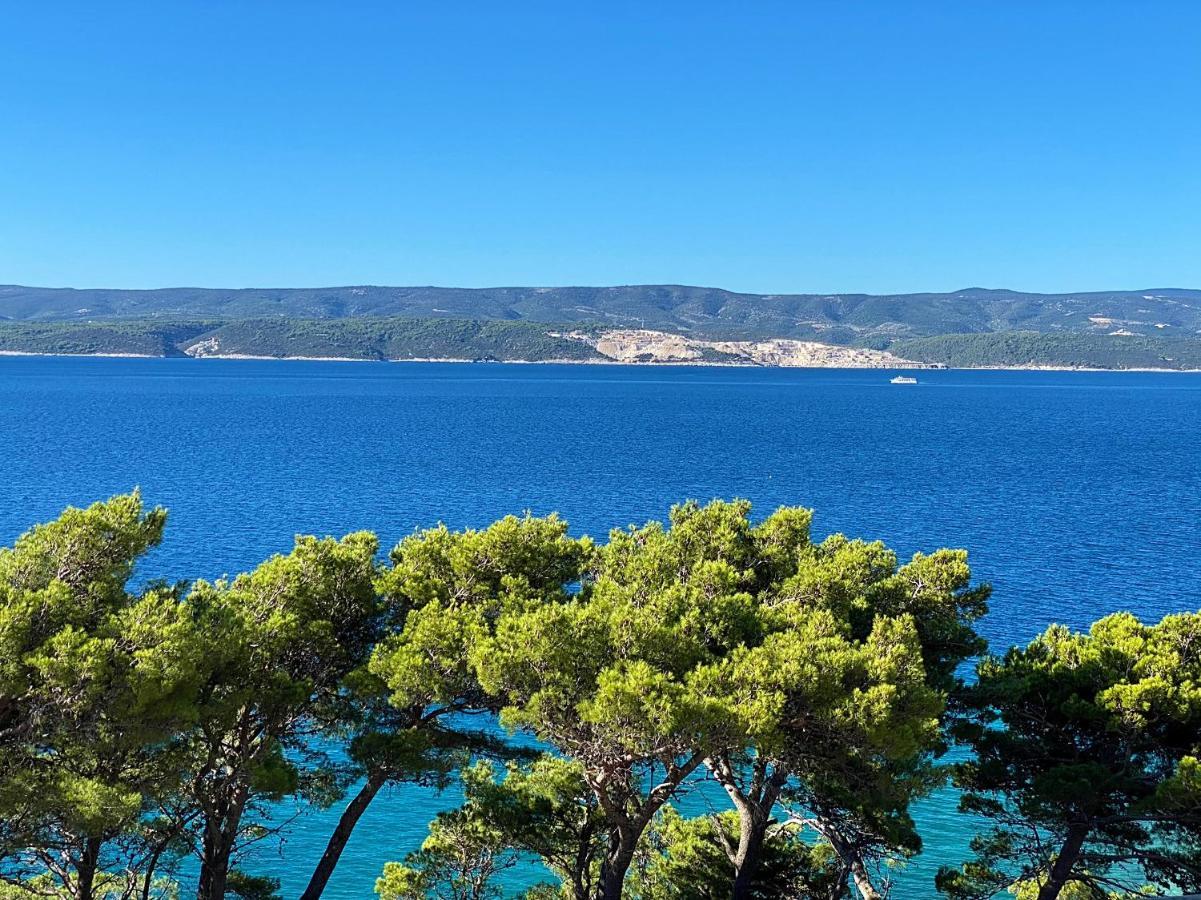 Blue View